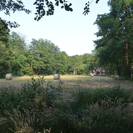 Vierseitenhof Appartements Бург Экстерьер фото