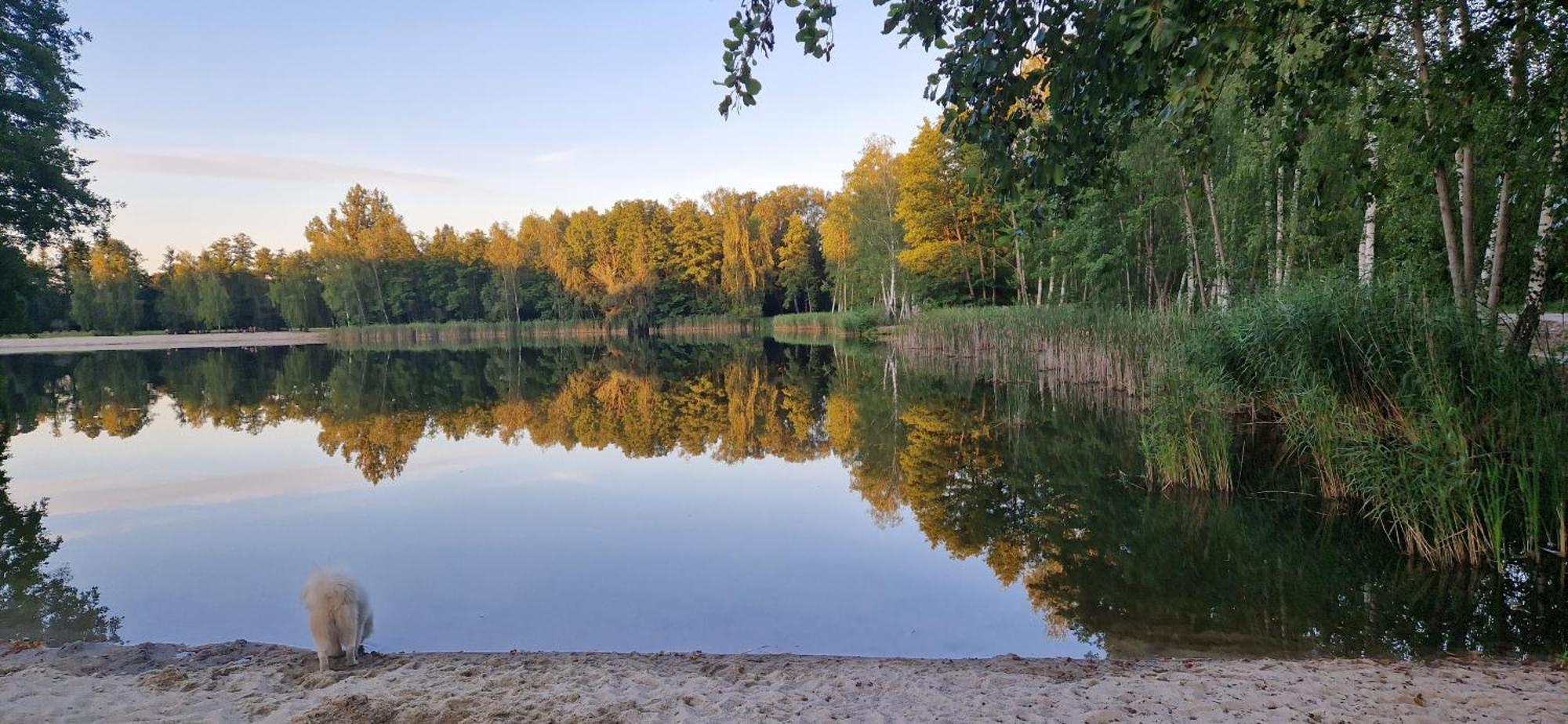 Vierseitenhof Appartements Бург Экстерьер фото